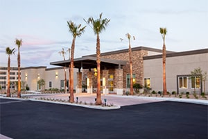 Palm Trees lining the shaded entrance to the building.