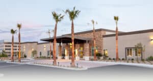 Palm Trees lining a shaded entrance into the building.